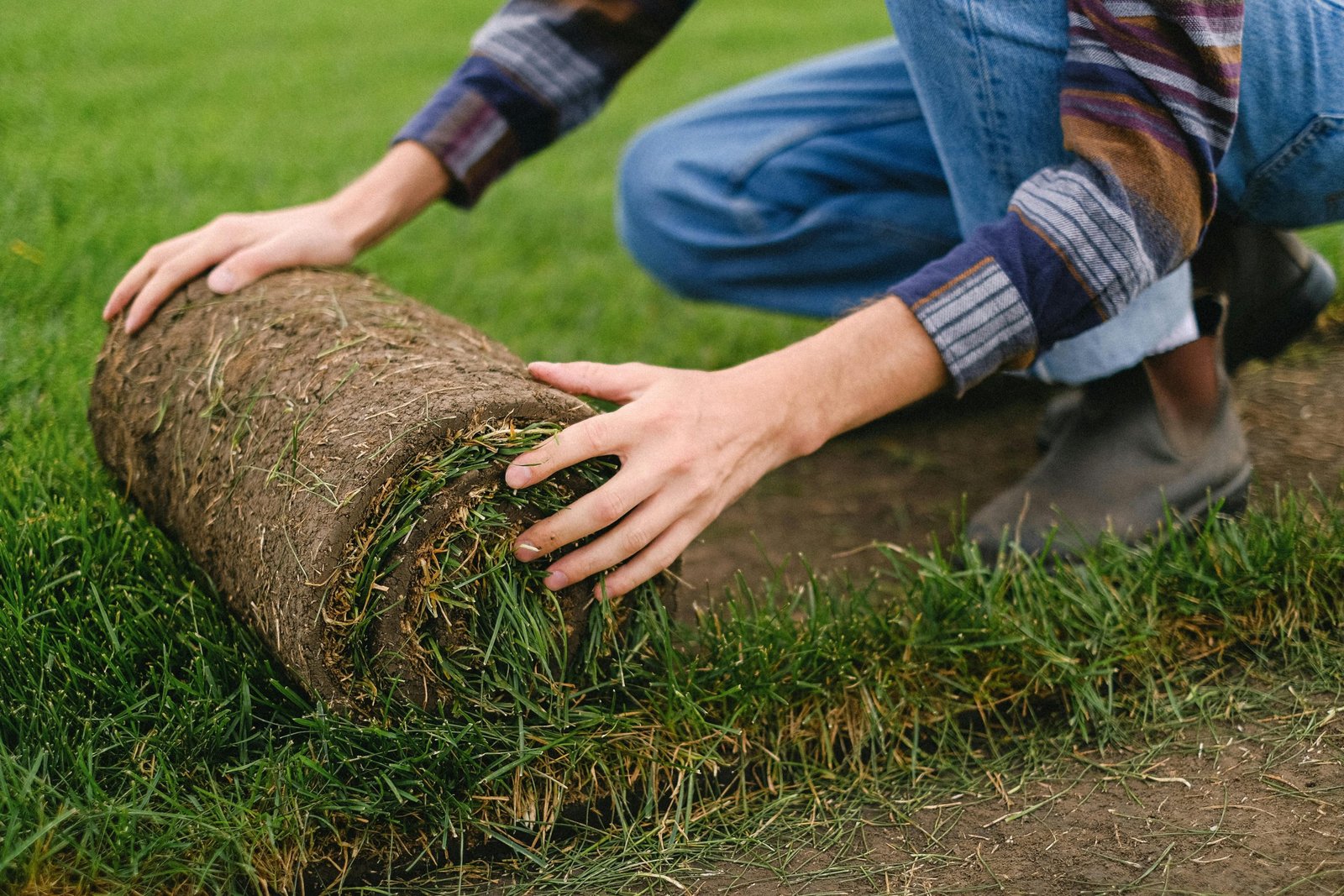 Sod Installation